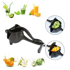 Hand Press Juicer